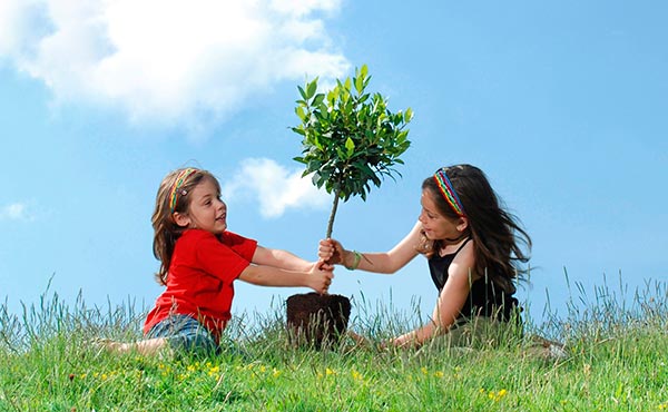 Dos niñas plantando un árbol