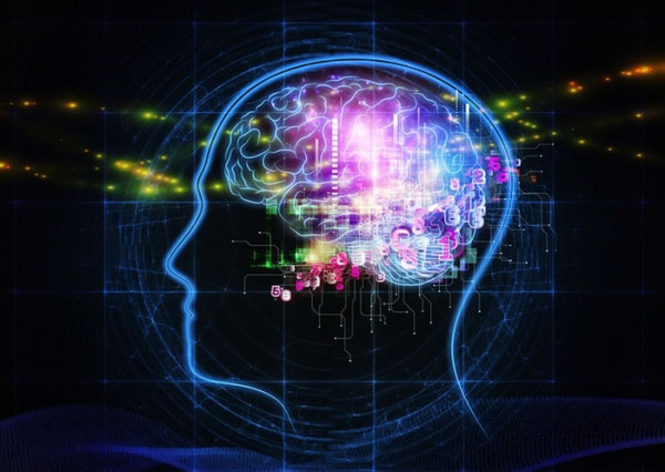 Mente-cerebro Programación neuro linguística
