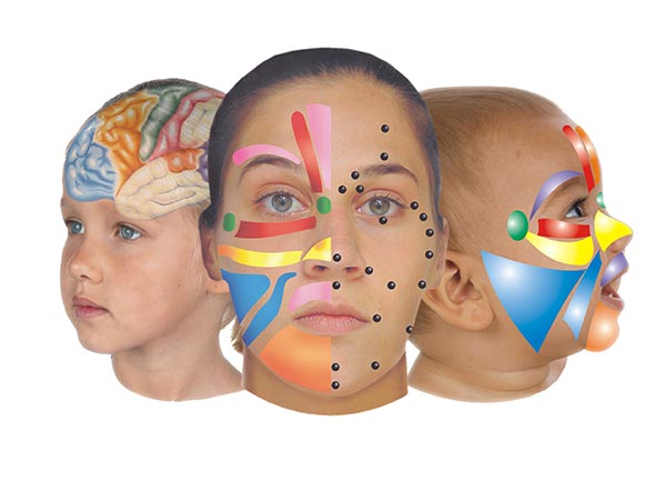 Reflexología facial del Sistema Lone Sorensen