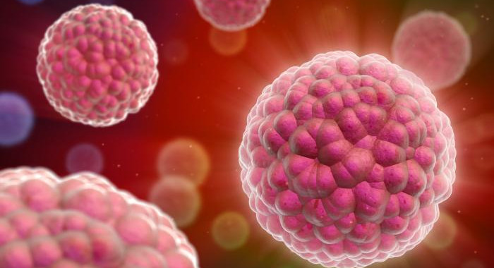 Oncología molecular muestra células cancerígenas