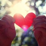 Dos manos sosteniendo un corazón a contraluz en el bosque