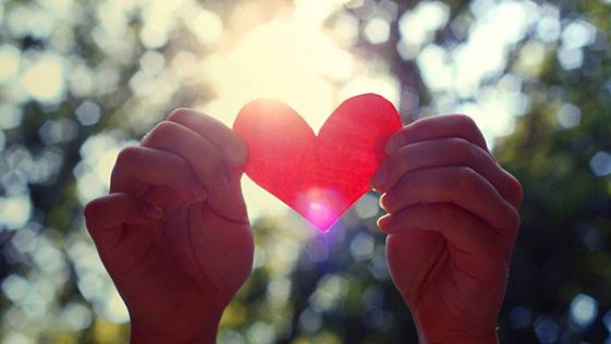 Dos manos sosteniendo un corazón a contraluz en el bosque