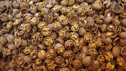 Muchas nueces criollas