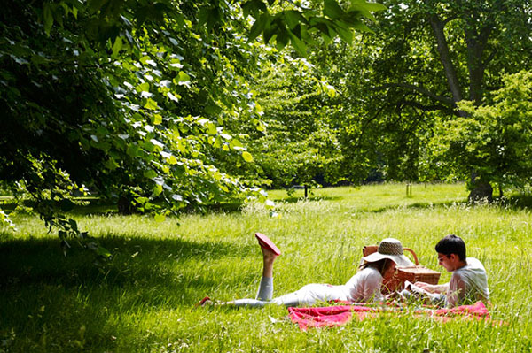 Vida simple disfrutando de un picnic en tranquilidad