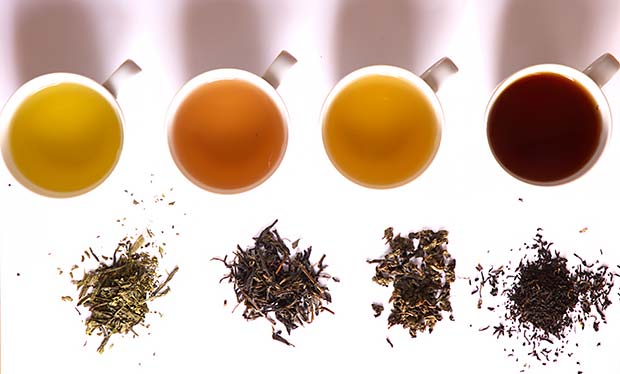 Diferentes infusiones de té