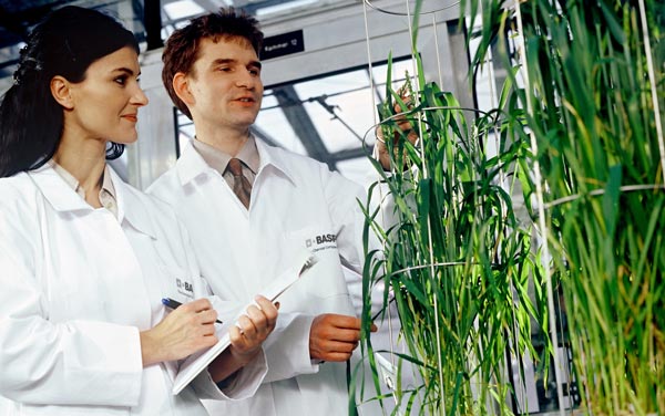 Tecnología en alimentación para reducir enfermedades